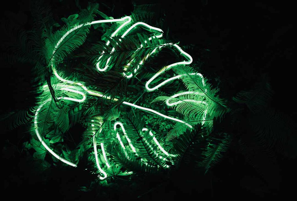 Neonreklame in Form eines Blattes - Symbolbild für neongrün